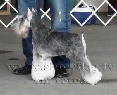 Clique sobre a foto para fechar